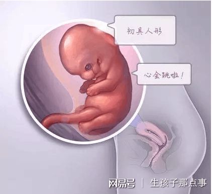 生殖中心